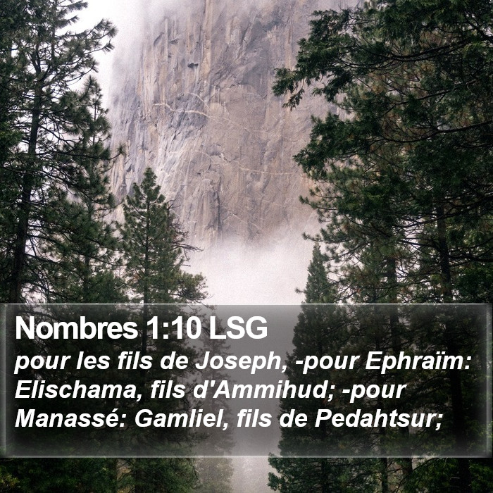 Nombres 1:10 LSG Bible Study