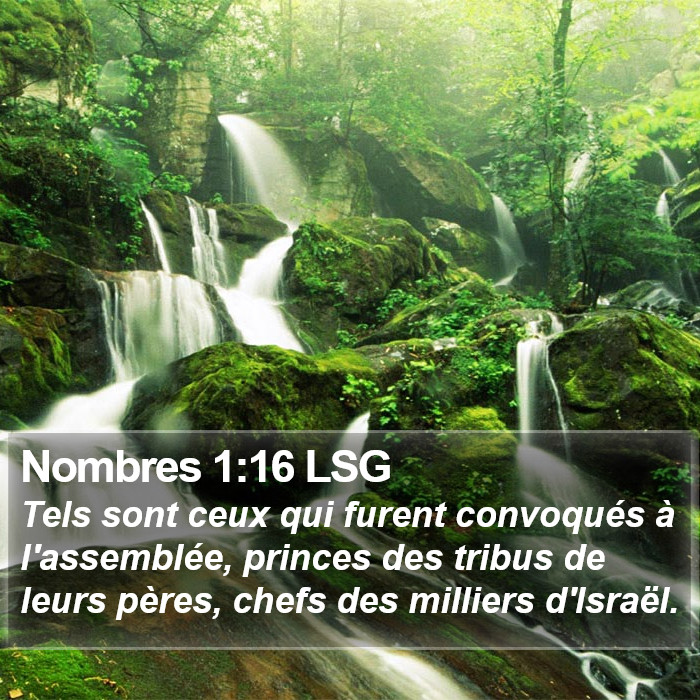 Nombres 1:16 LSG Bible Study