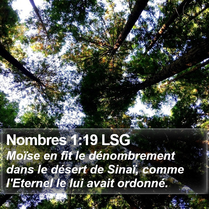 Nombres 1:19 LSG Bible Study