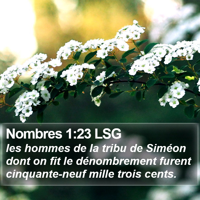 Nombres 1:23 LSG Bible Study