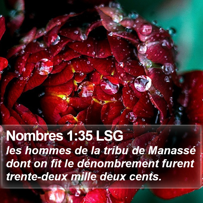 Nombres 1:35 LSG Bible Study