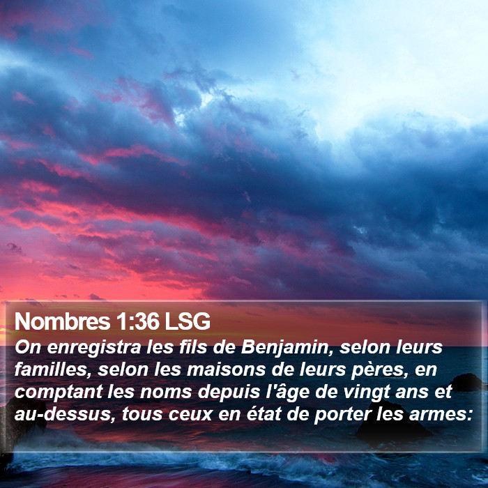 Nombres 1:36 LSG Bible Study