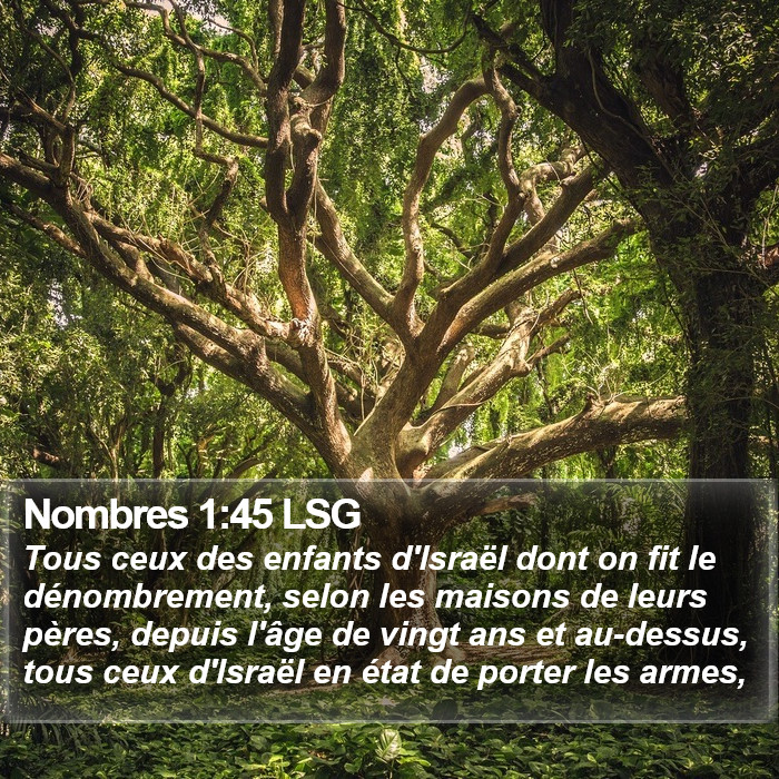 Nombres 1:45 LSG Bible Study