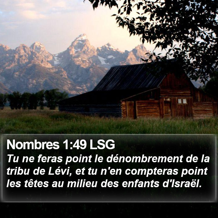 Nombres 1:49 LSG Bible Study