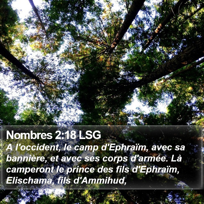 Nombres 2:18 LSG Bible Study