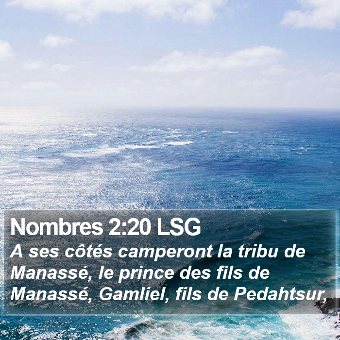 Nombres 2:20 LSG Bible Study