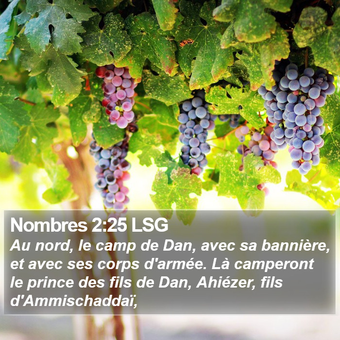 Nombres 2:25 LSG Bible Study