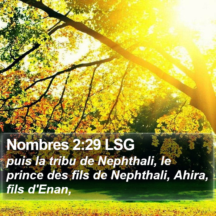 Nombres 2:29 LSG Bible Study