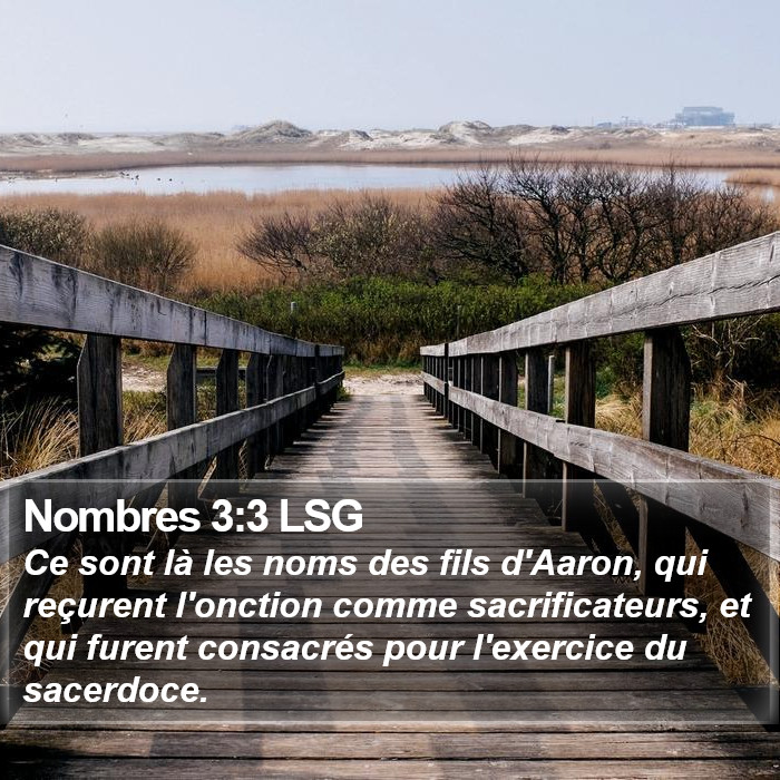 Nombres 3:3 LSG Bible Study