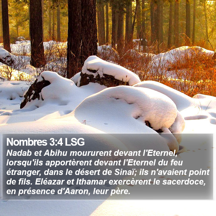 Nombres 3:4 LSG Bible Study