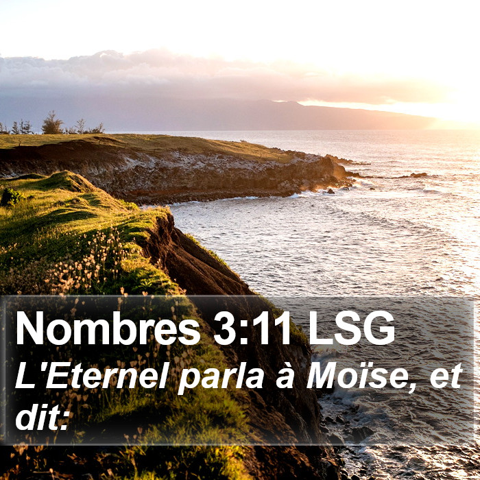 Nombres 3:11 LSG Bible Study