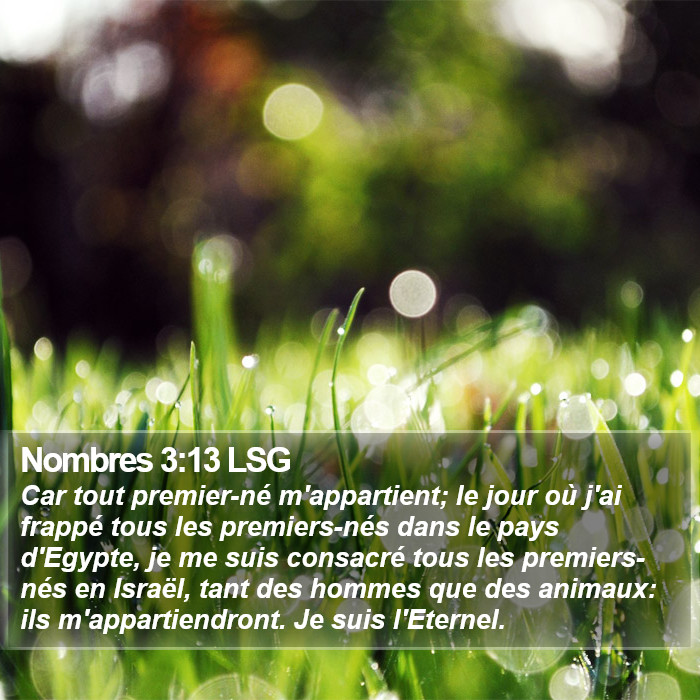 Nombres 3:13 LSG Bible Study