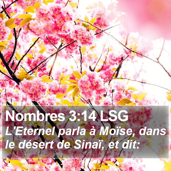 Nombres 3:14 LSG Bible Study