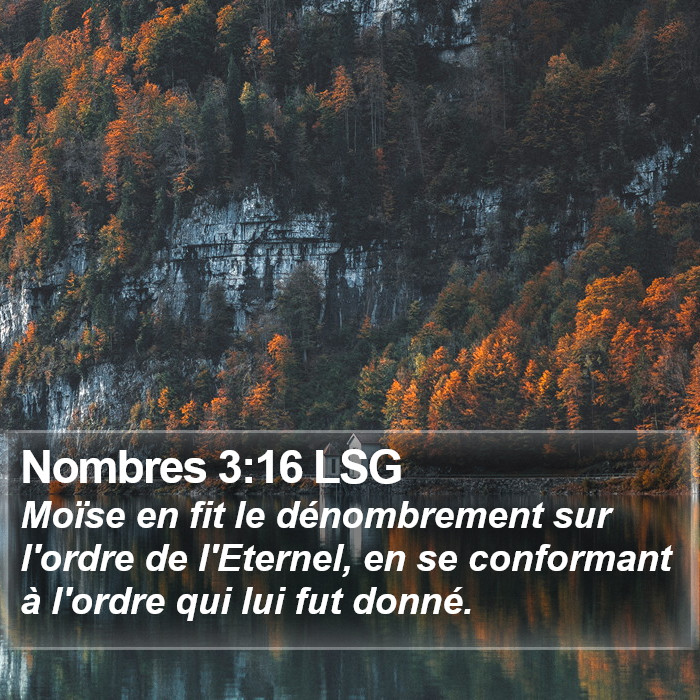 Nombres 3:16 LSG Bible Study