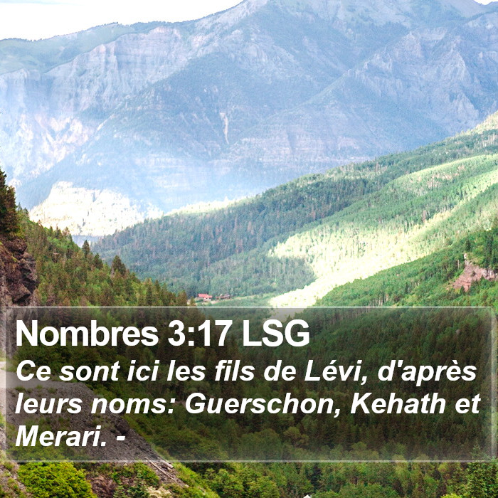 Nombres 3:17 LSG Bible Study