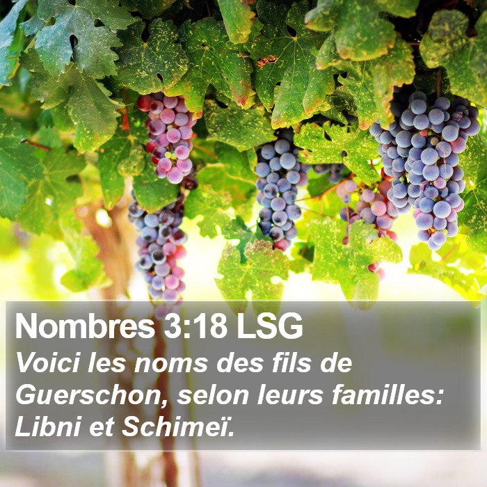 Nombres 3:18 LSG Bible Study