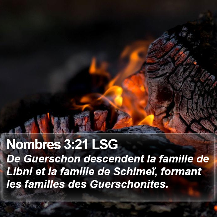 Nombres 3:21 LSG Bible Study