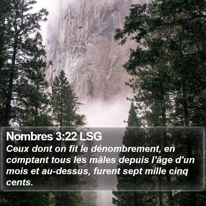 Nombres 3:22 LSG Bible Study