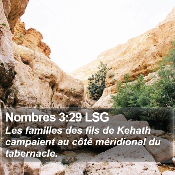 Nombres 3:29 LSG Bible Study
