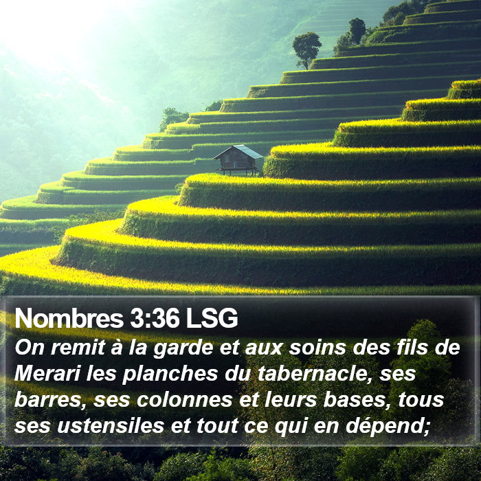 Nombres 3:36 LSG Bible Study