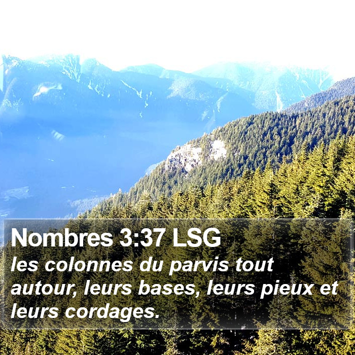 Nombres 3:37 LSG Bible Study