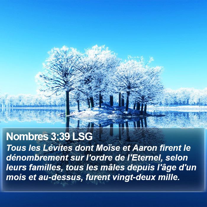 Nombres 3:39 LSG Bible Study