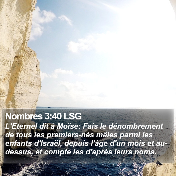 Nombres 3:40 LSG Bible Study
