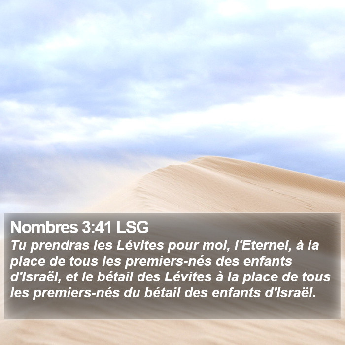 Nombres 3:41 LSG Bible Study