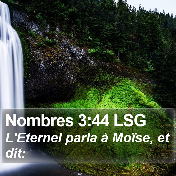 Nombres 3:44 LSG Bible Study