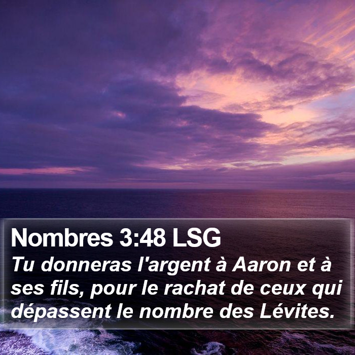 Nombres 3:48 LSG Bible Study