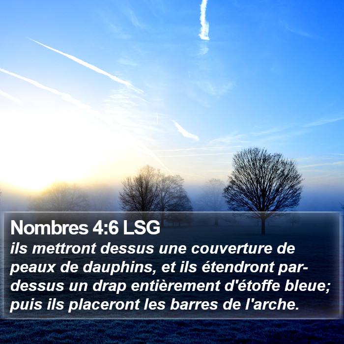 Nombres 4:6 LSG Bible Study