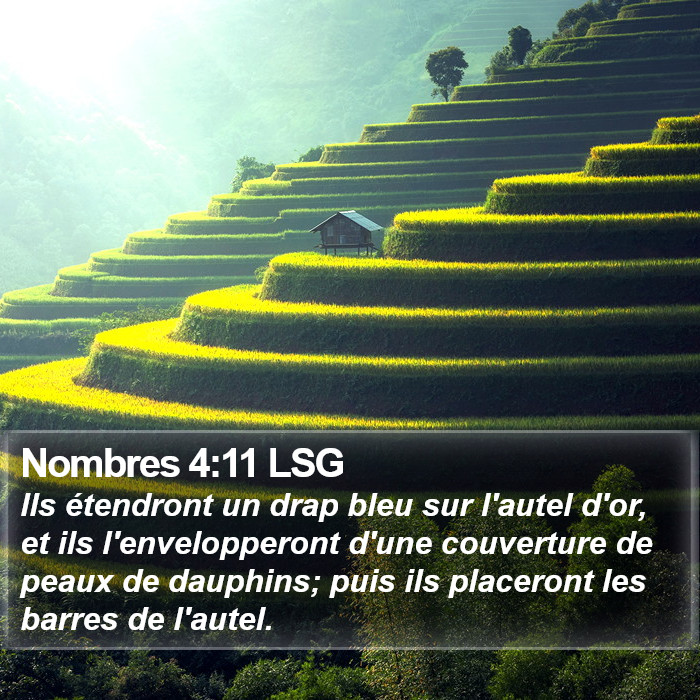 Nombres 4:11 LSG Bible Study