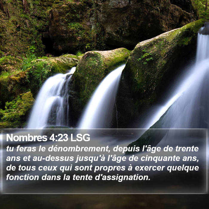 Nombres 4:23 LSG Bible Study