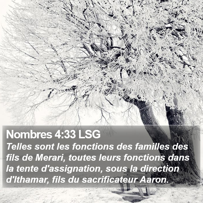 Nombres 4:33 LSG Bible Study