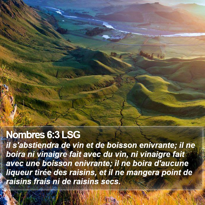 Nombres 6:3 LSG Bible Study