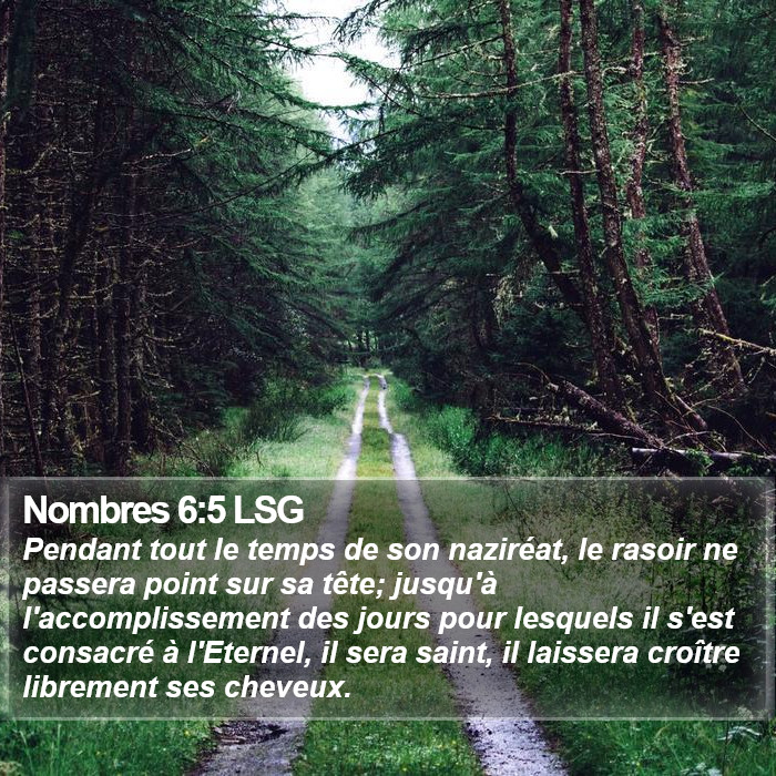 Nombres 6:5 LSG Bible Study