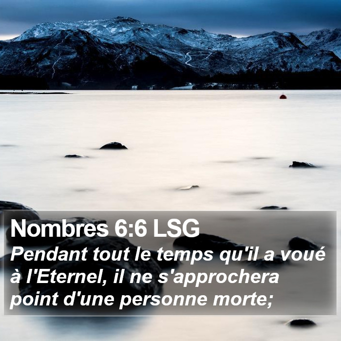 Nombres 6:6 LSG Bible Study
