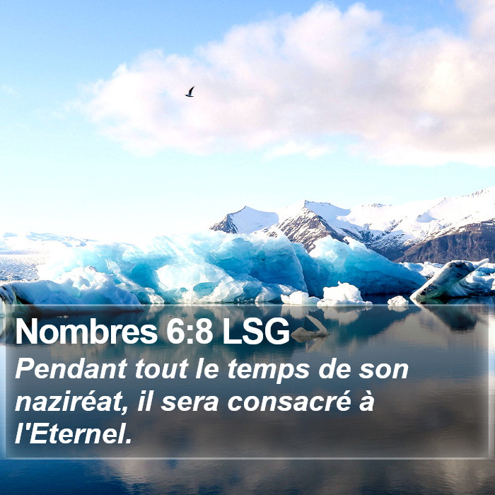 Nombres 6:8 LSG Bible Study