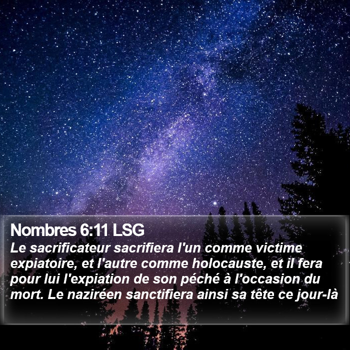 Nombres 6:11 LSG Bible Study