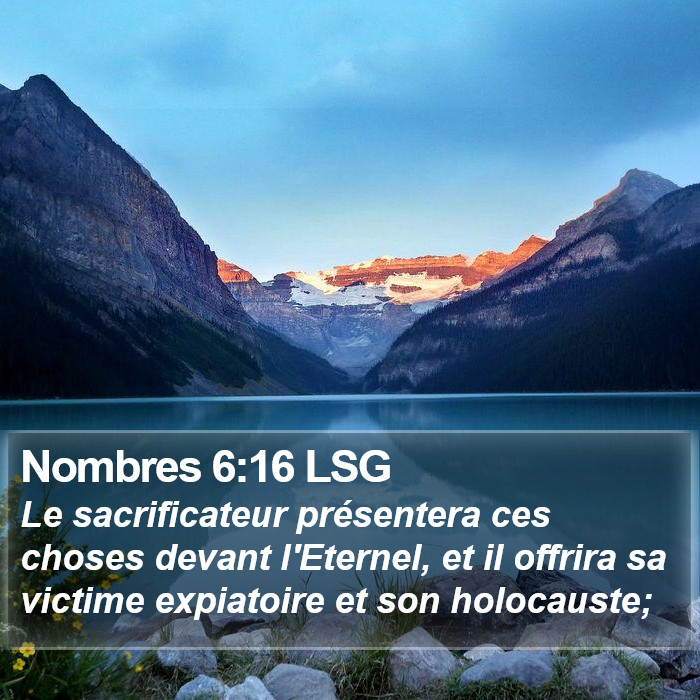 Nombres 6:16 LSG Bible Study