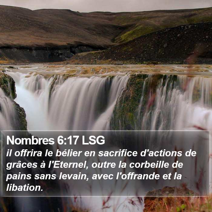 Nombres 6:17 LSG Bible Study