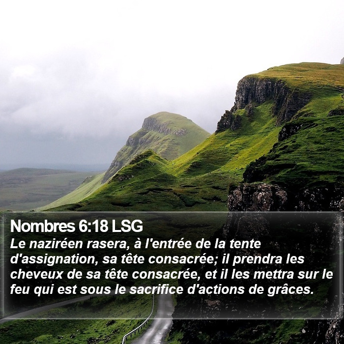 Nombres 6:18 LSG Bible Study
