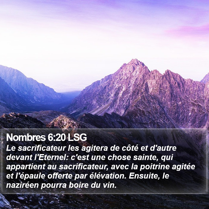 Nombres 6:20 LSG Bible Study