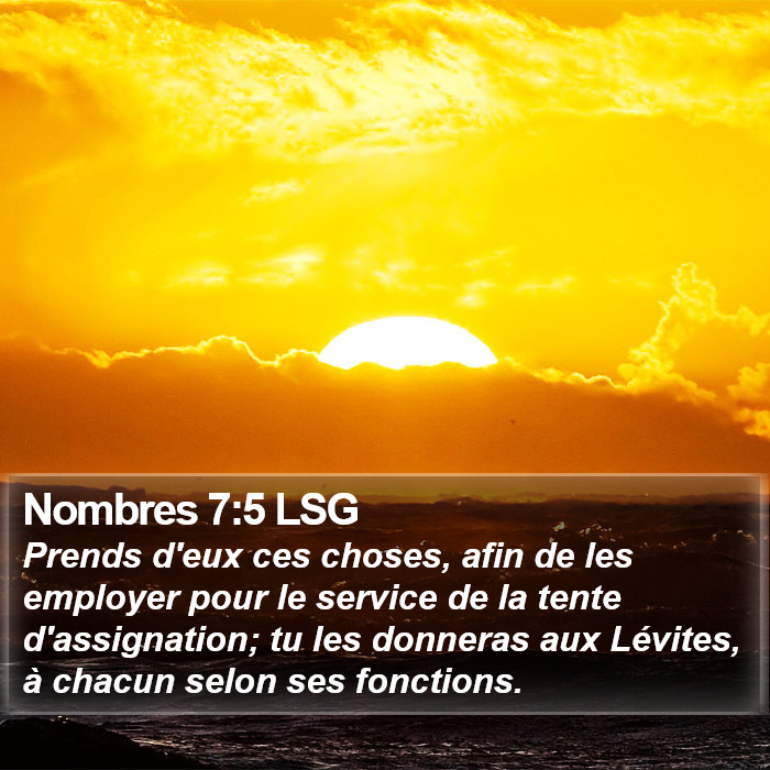 Nombres 7:5 LSG Bible Study