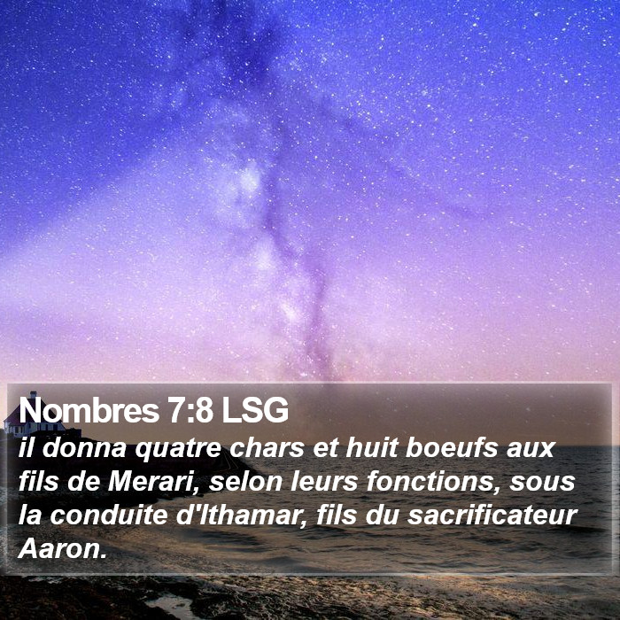 Nombres 7:8 LSG Bible Study