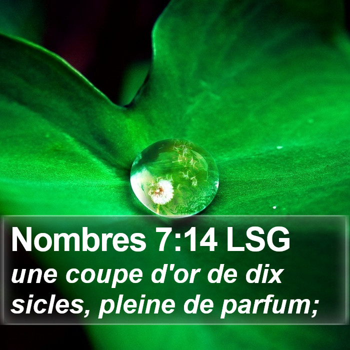 Nombres 7:14 LSG Bible Study