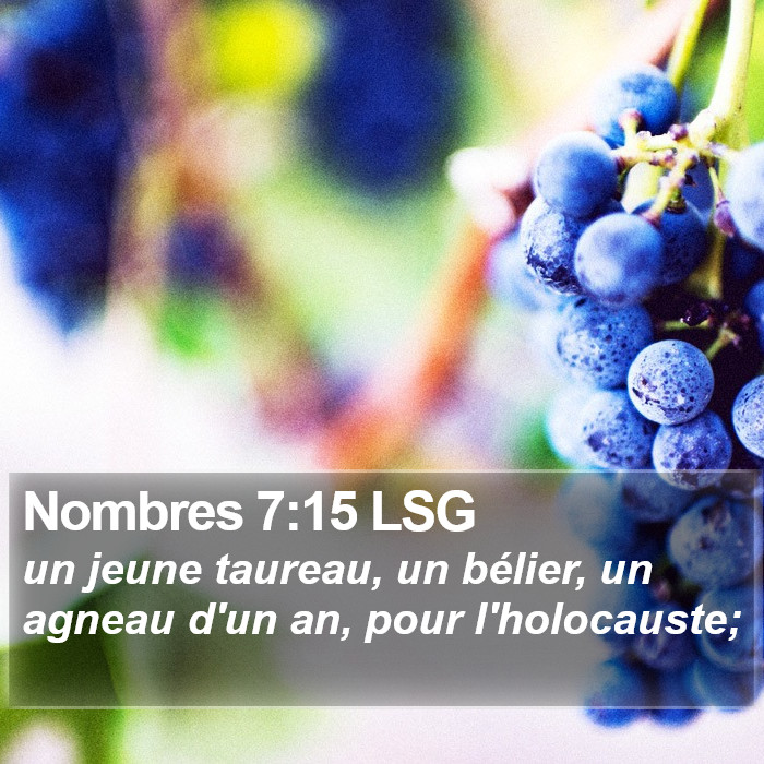 Nombres 7:15 LSG Bible Study