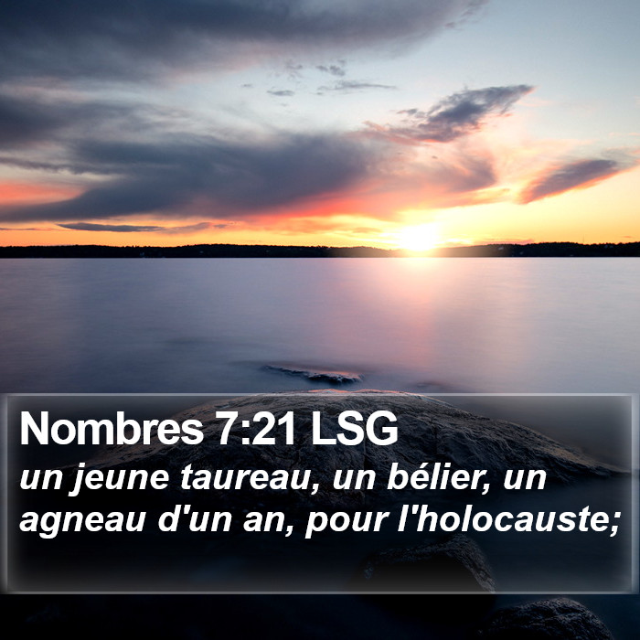 Nombres 7:21 LSG Bible Study