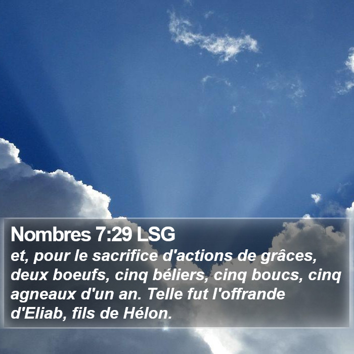 Nombres 7:29 LSG Bible Study
