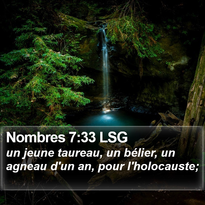 Nombres 7:33 LSG Bible Study